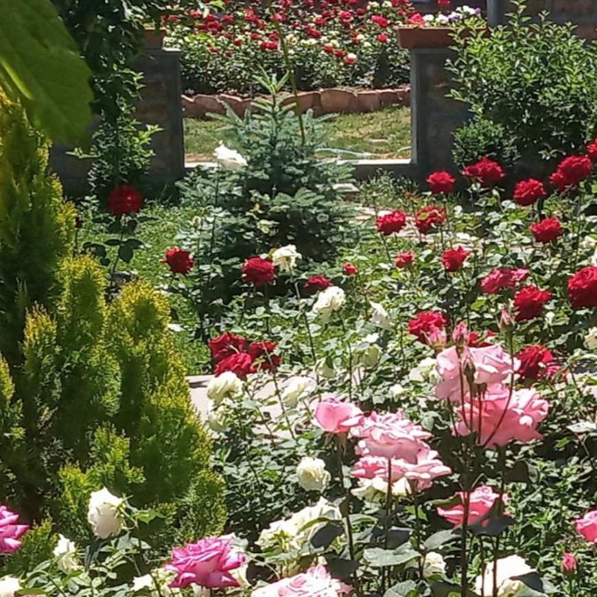 Guest House Hasmik Yeghegnadzor Luaran gambar