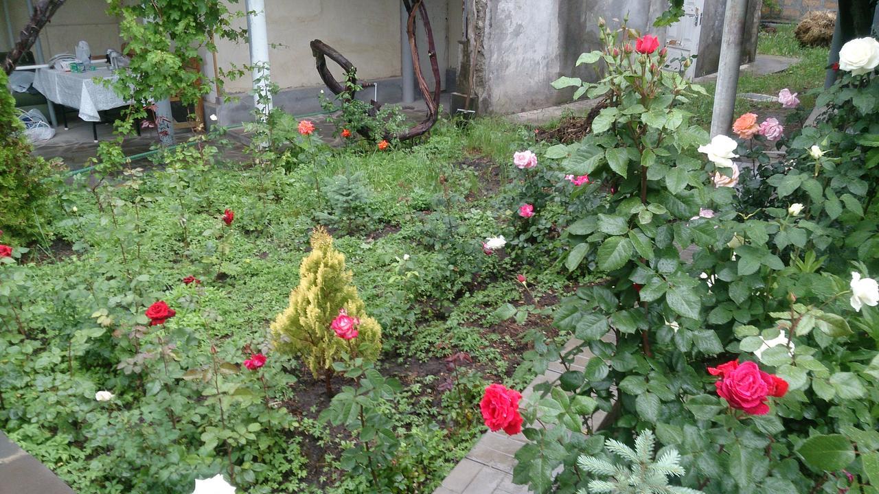 Guest House Hasmik Yeghegnadzor Luaran gambar